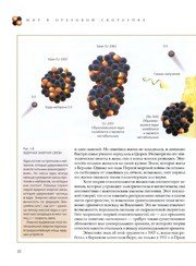 Capa: O Universo numa Casca de Noz
